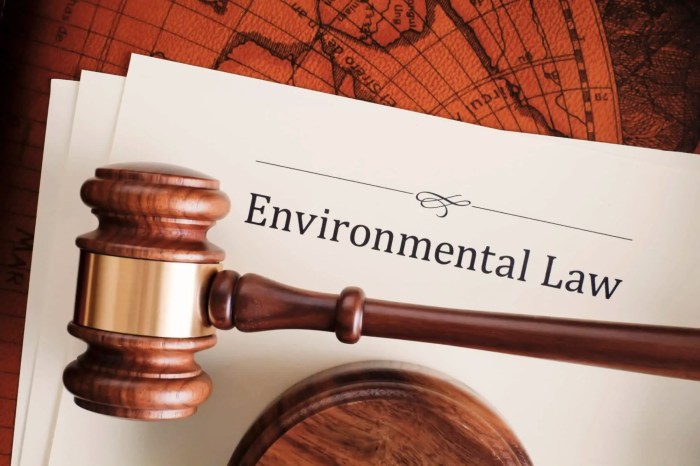 Environmental damage compensation lawyer